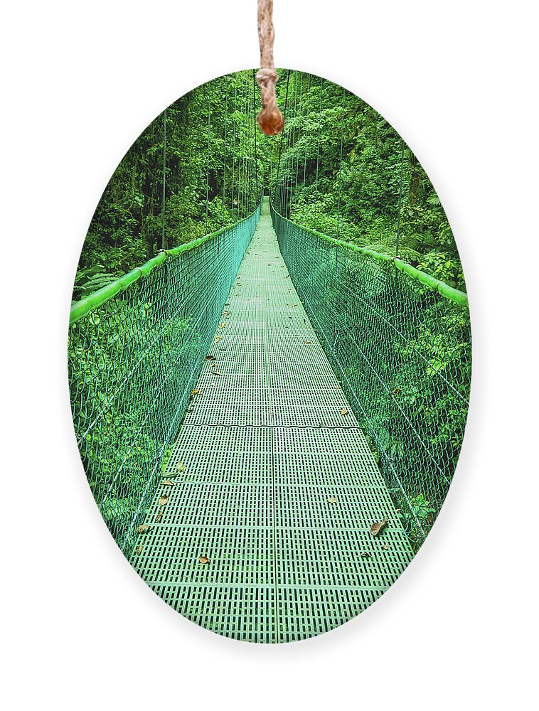 Hanging Bridge Ornament featuring the photograph Hanging Bridge in Cloud Forest in Monte Verde Costa Rica by Leslie Struxness