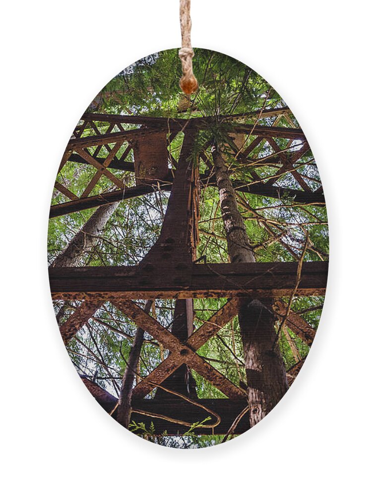 Natural Ornament featuring the photograph Hansen Creek Railroad Trestle by Pelo Blanco Photo