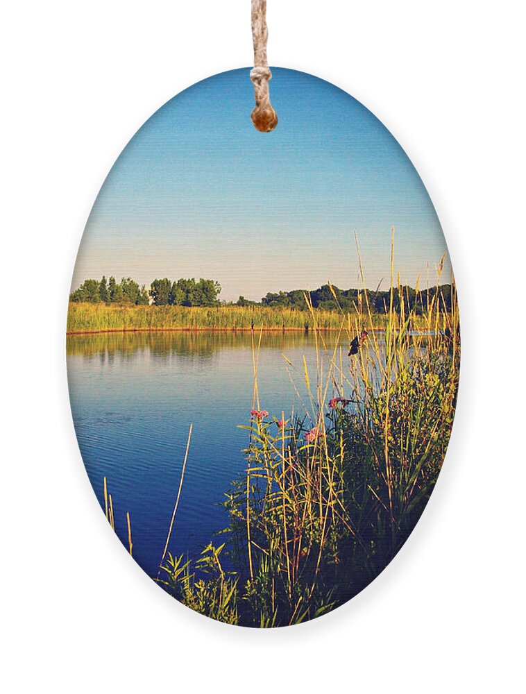 Red Winged Blackbird Ornament featuring the photograph Happy Bird In The Wetlands by Frank J Casella