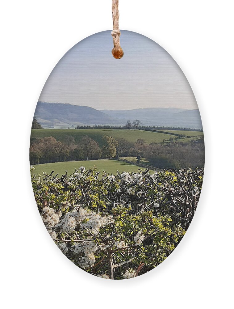 Countryside Ornament featuring the photograph Hawthorn and Hills by Gemma Reece-Holloway