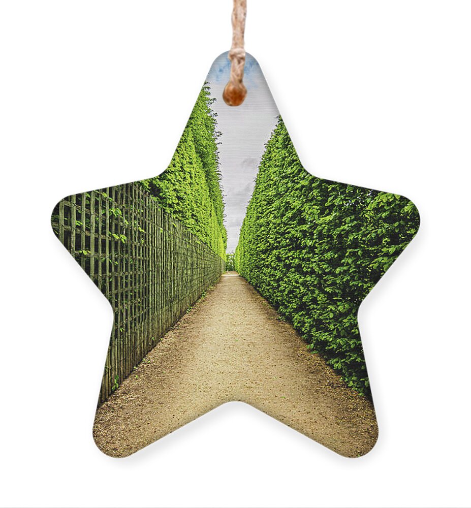 Maze Ornament featuring the photograph Hedge Maze of Versailles by Alexios Ntounas