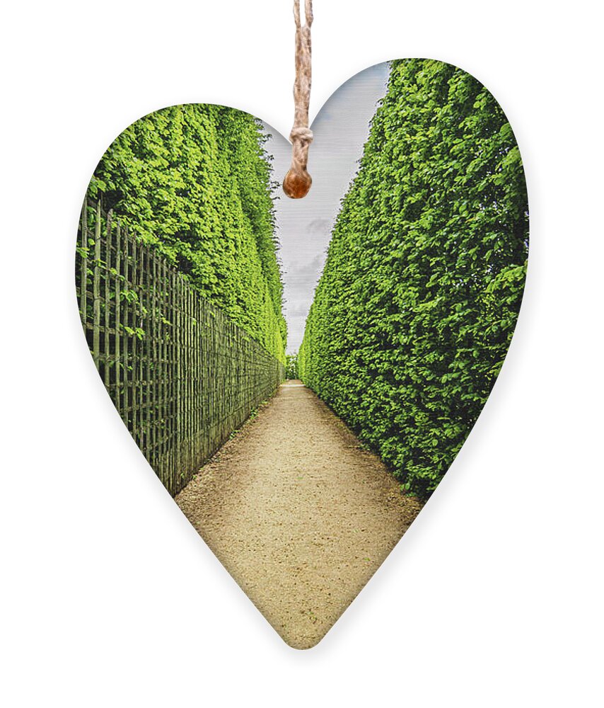 Maze Ornament featuring the photograph Hedge Maze of Versailles by Alexios Ntounas
