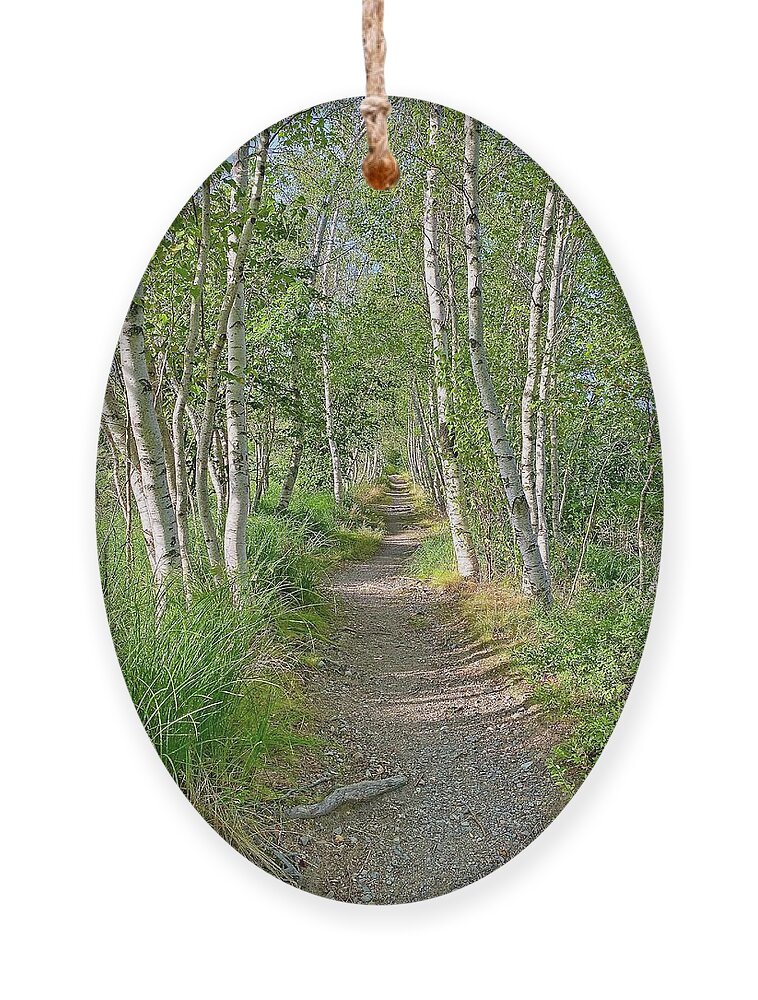 Trail Ornament featuring the photograph Hemlock Path by Monika Salvan