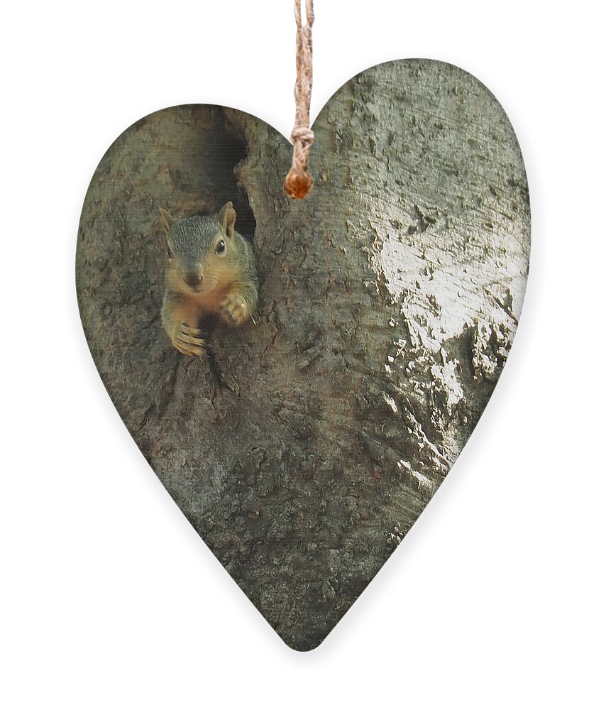 Squirrel Ornament featuring the photograph Hi There by C Winslow Shafer