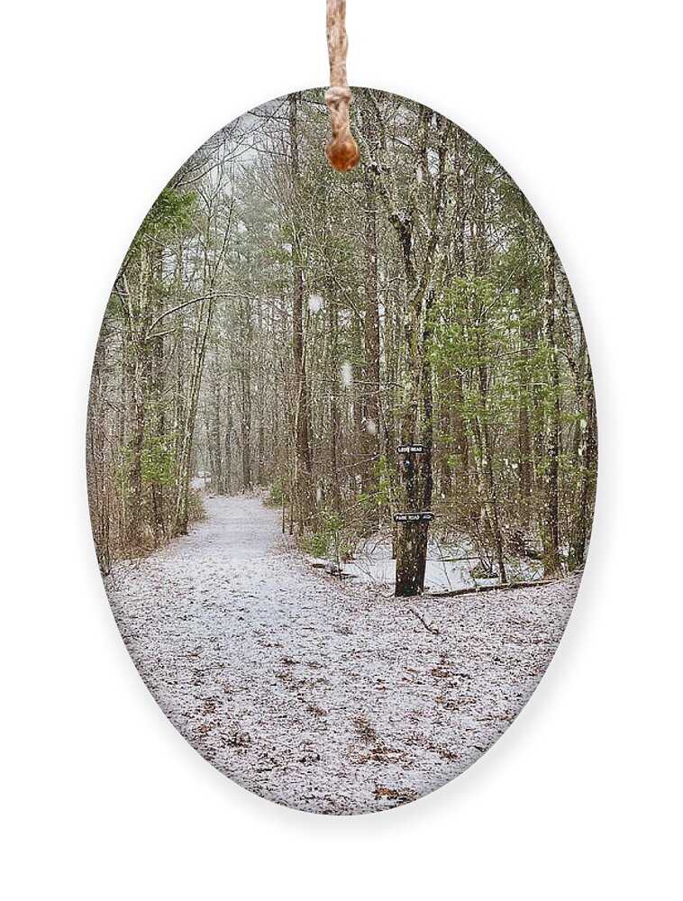 Hiking Ornament featuring the photograph Hiking in the Upton State Forest by Monika Salvan