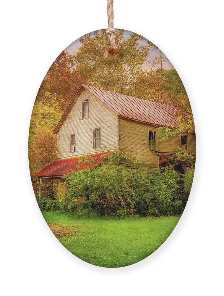 Mill Ornament featuring the photograph Historic Babbs Mill in Northeast Tennessee by Shelia Hunt