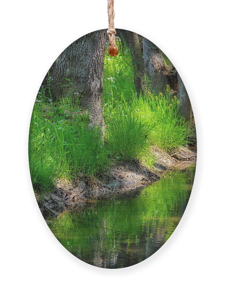 Fall Creek Ornament featuring the photograph Historic Fall Creek by Shelia Hunt