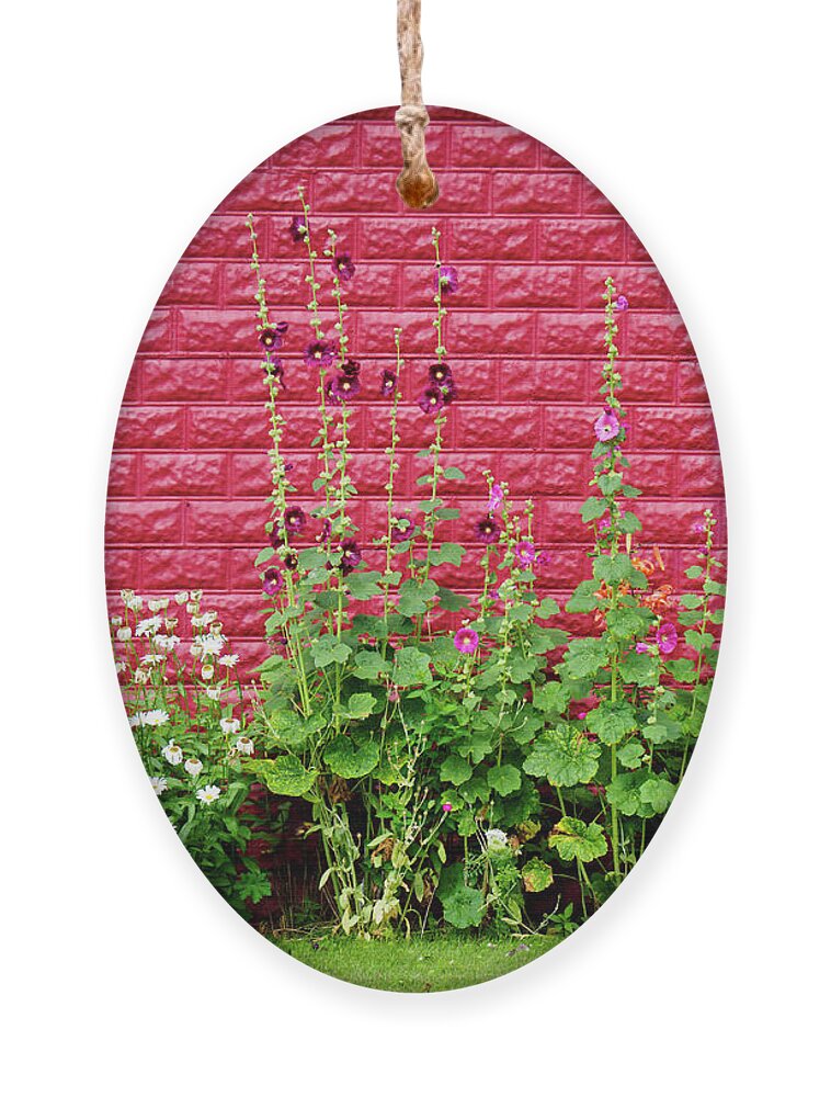 Flowers Ornament featuring the photograph Hollyhocks Against a Red Walll by Mary Lee Dereske
