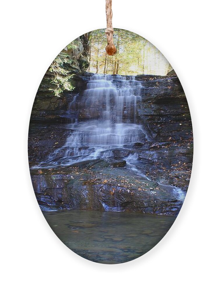 Nature Ornament featuring the photograph Honey Run Falls by Mary Walchuck