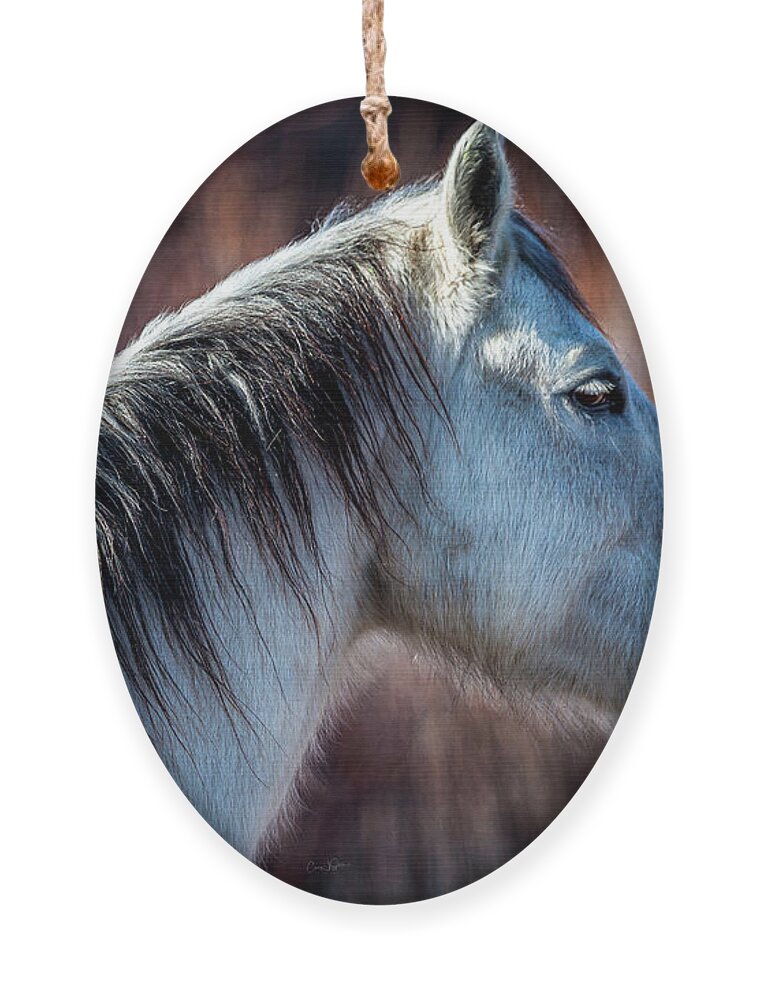 Horse Ornament featuring the photograph Horse No. 4 by Craig J Satterlee