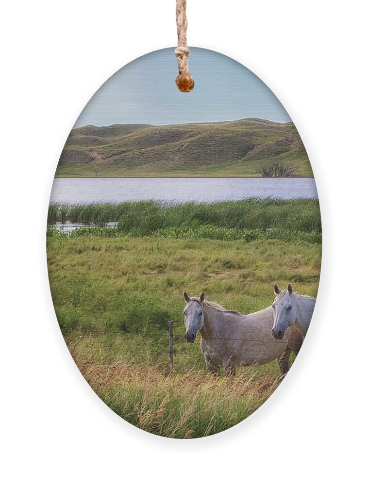 Horses Ornament featuring the photograph Horses at Beem Lake - Sandhills Journey by Susan Rissi Tregoning