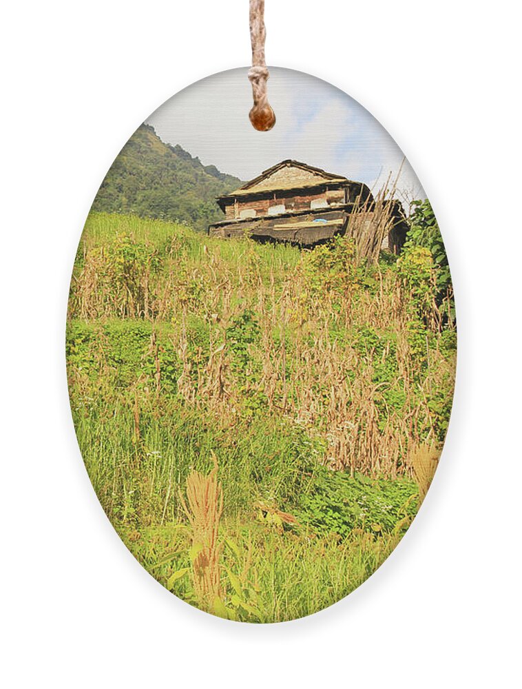 Nepal Ornament featuring the photograph How Green Was My Valley by Josu Ozkaritz