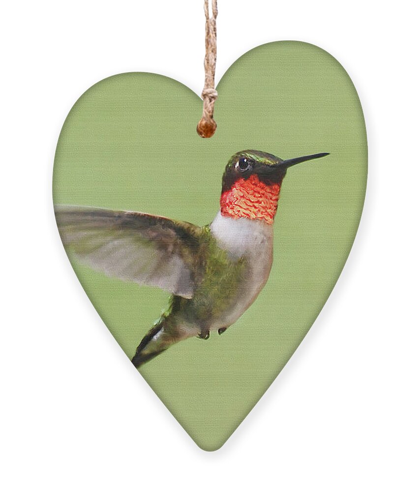 Hummingbird Ornament featuring the painting Hummingbird Defender by Christina Rollo