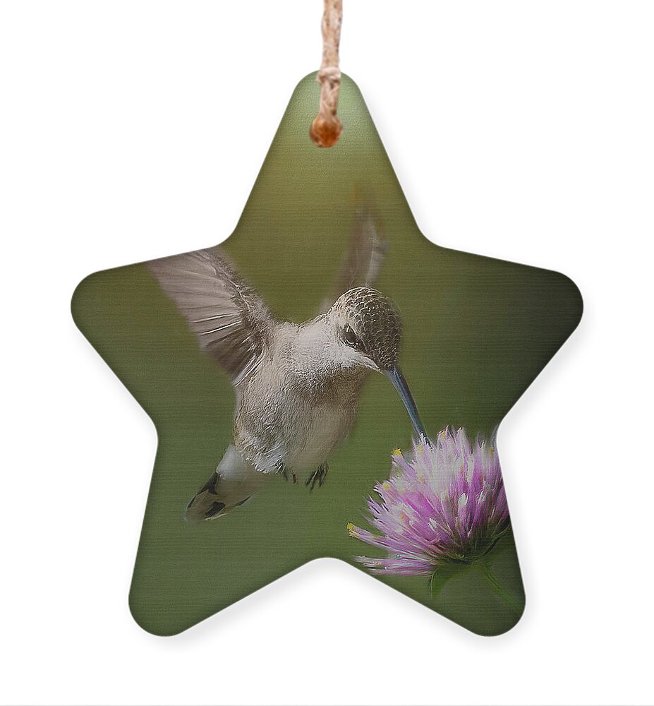 Hummingbird On Flower Ornament featuring the photograph Hummingbird sur Fleur by Cheri Freeman