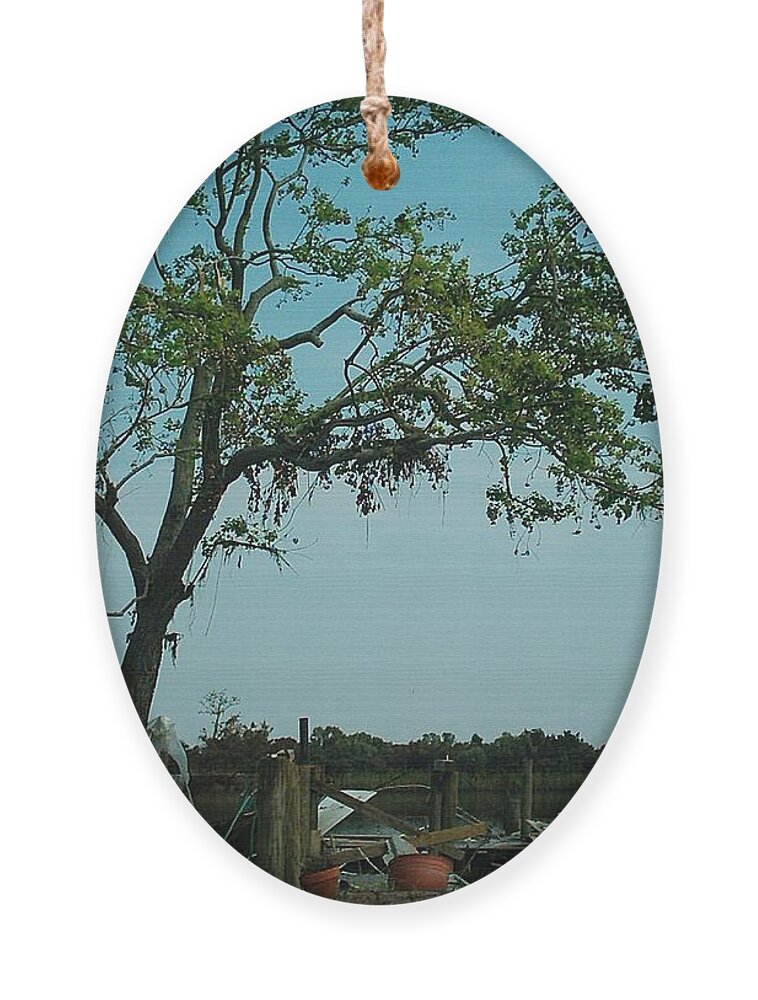  Ornament featuring the photograph Hurricane Katrina Series - 4 by Christopher Lotito