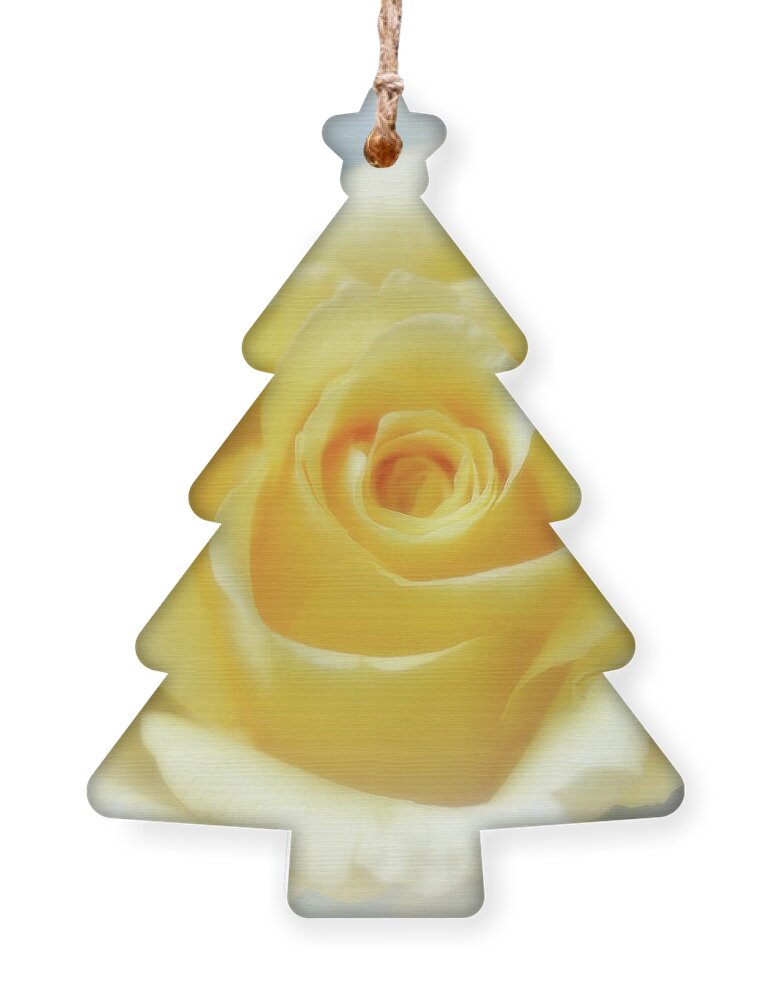 Rose Ornament featuring the photograph Hybrid Tea Rose - Yellow by Yvonne Johnstone