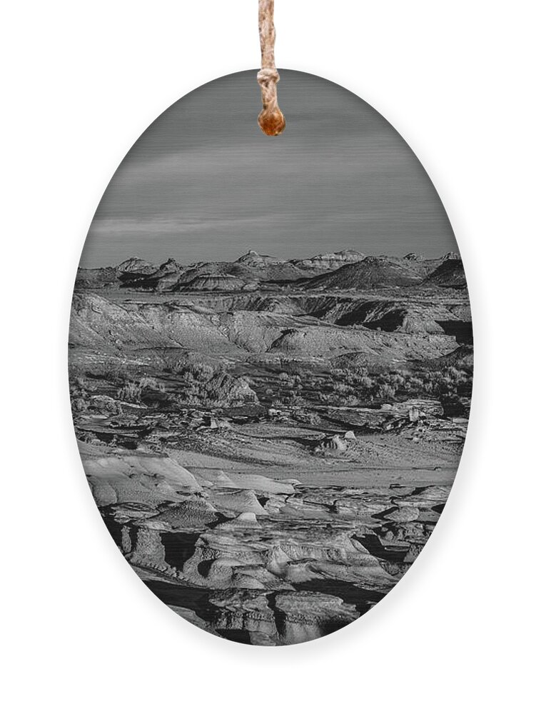 I Walk Alone Ornament featuring the photograph I Walk Alone by George Buxbaum