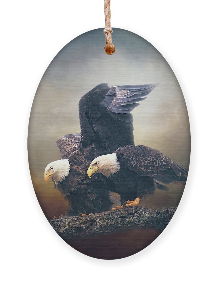 Bald Eagle Ornament featuring the photograph I Will Shelter You by Jai Johnson