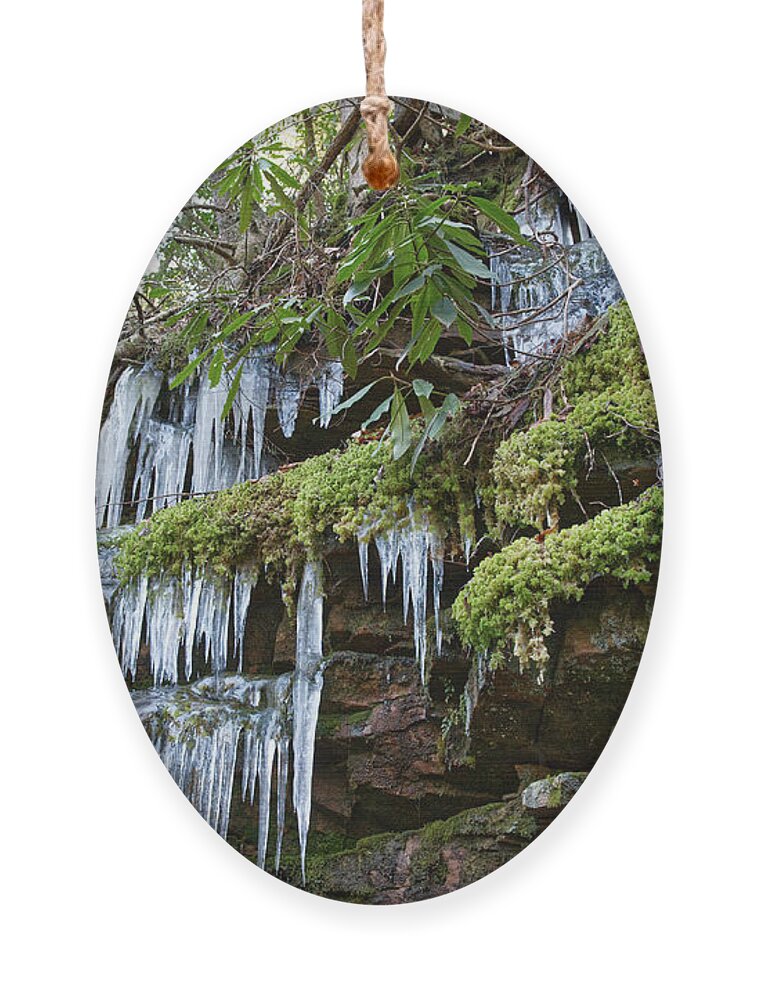 Tennessee Ornament featuring the photograph Icicles on Gorge Wall by Phil Perkins