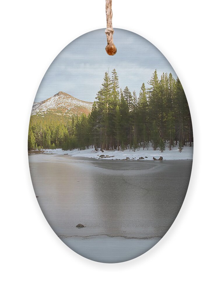 Landscape Ornament featuring the photograph Icy Pond by Jonathan Nguyen