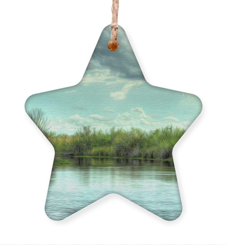 Everglades Ornament featuring the photograph In The Everglades by Debra Kewley