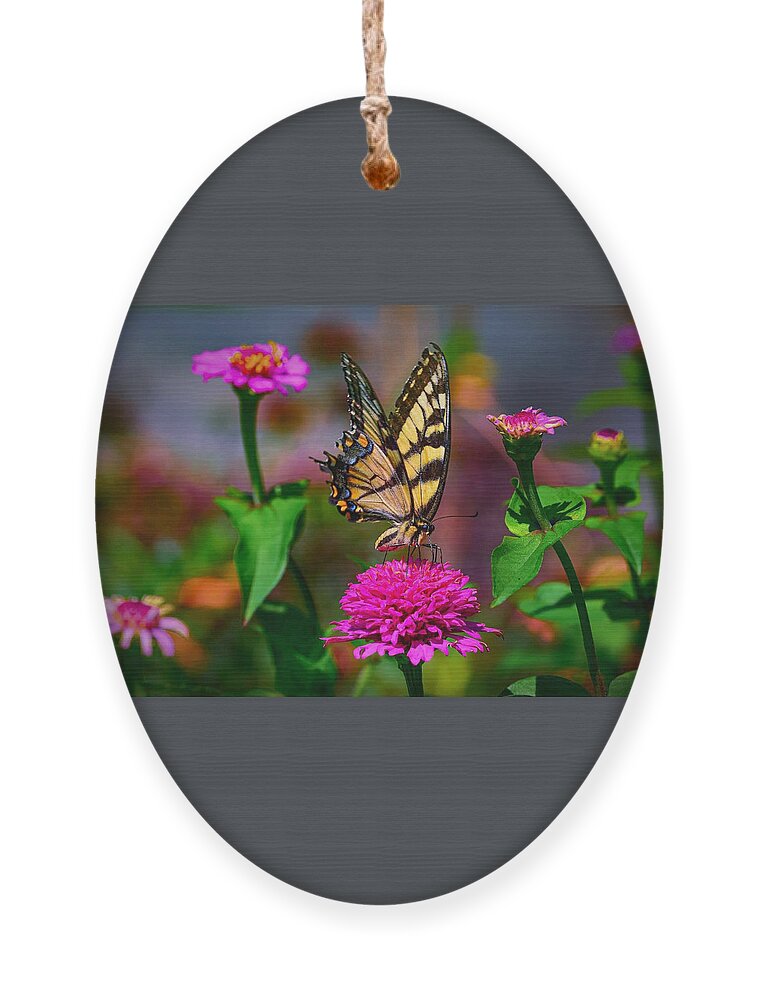 Butterfly Ornament featuring the photograph In the Garden by Carolyn Mickulas