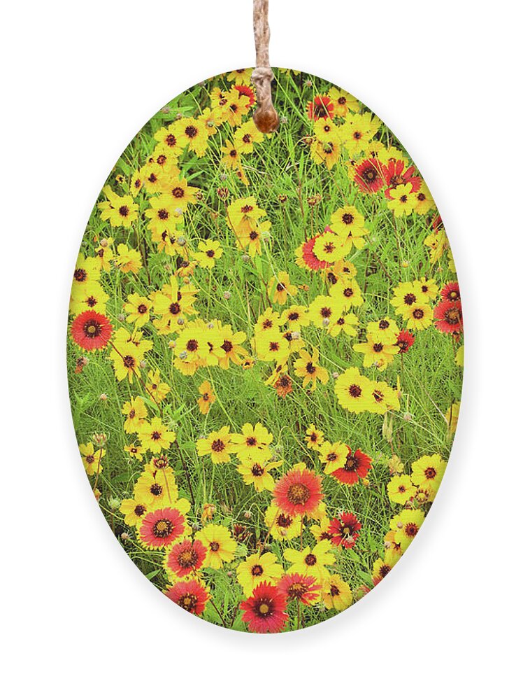 Dave Welling Ornament featuring the photograph Indian Blanketflowers And Coreopsis Texas by Dave Welling