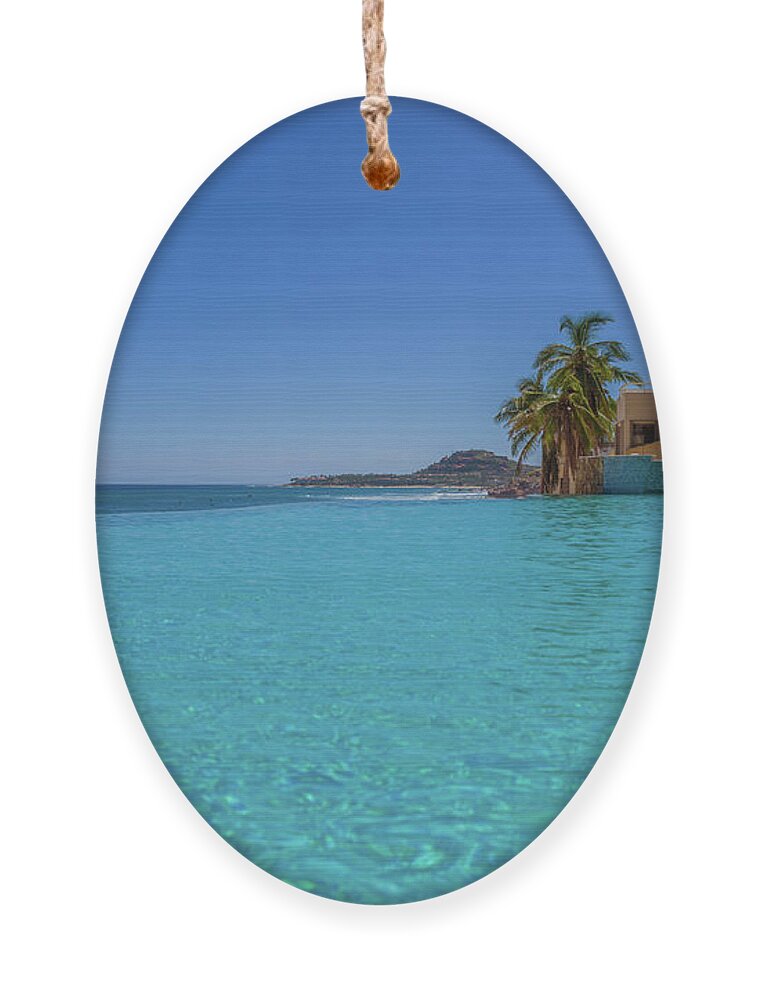 Amazing Ornament featuring the photograph Infinity Pool Cabo San Lucas by Scott McGuire