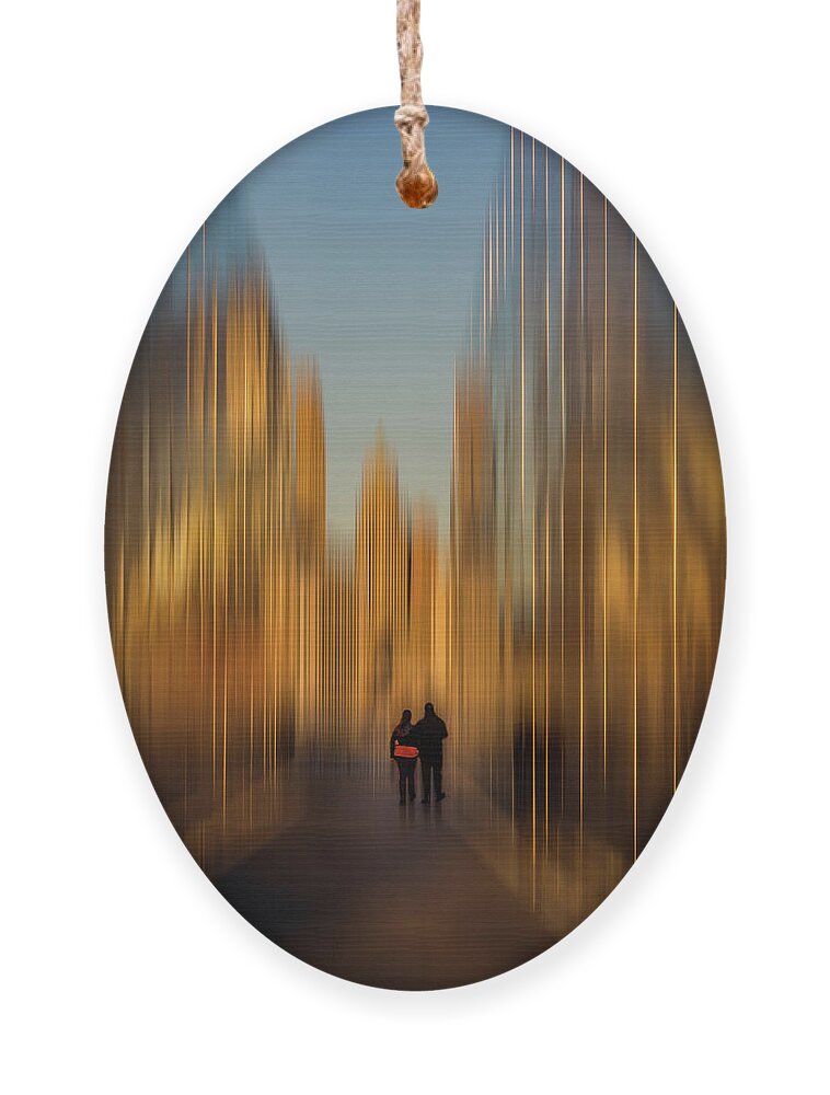 September 11 Ornament featuring the photograph Into The Emptiness by Elvira Peretsman