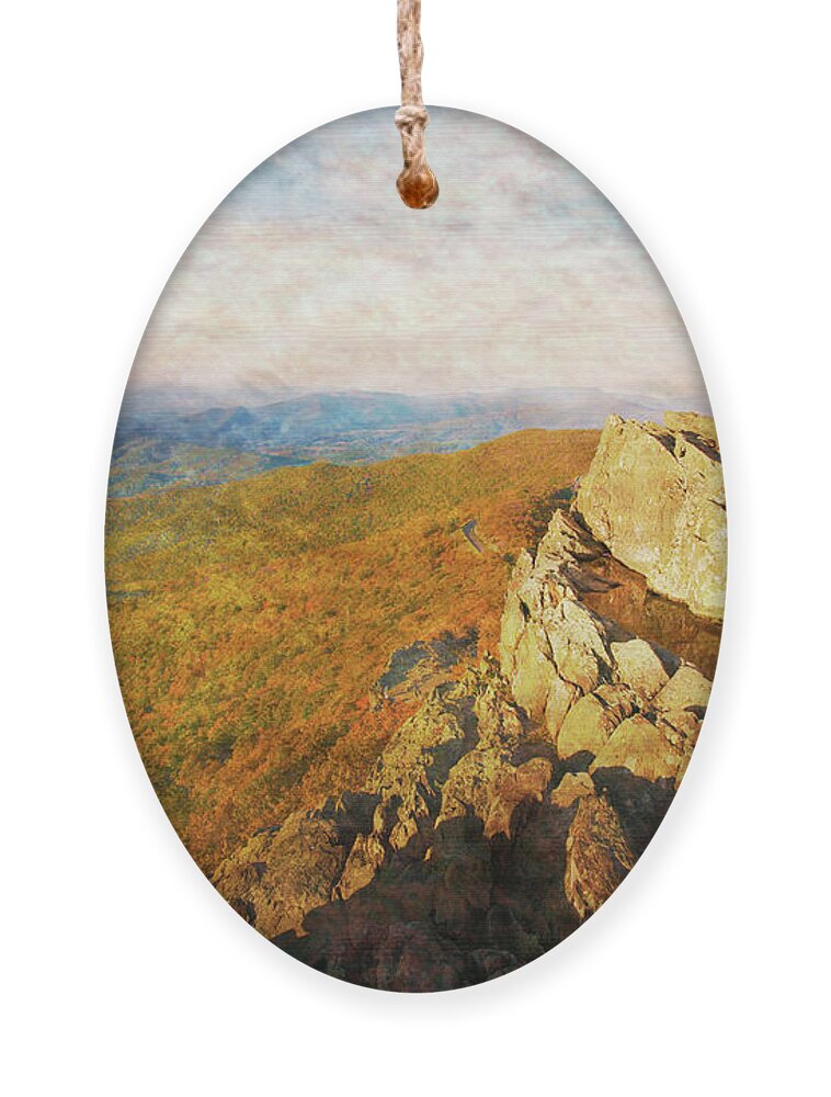 Virginia Ornament featuring the photograph Into the Valley by Mark Gomez