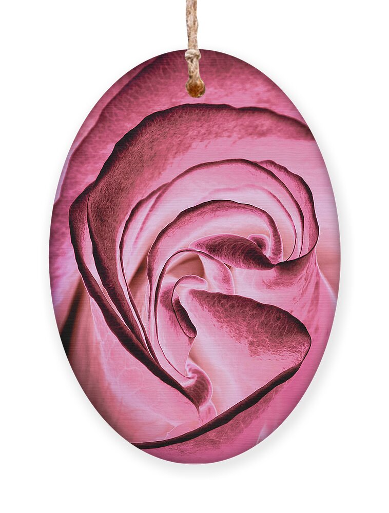 Rose Ornament featuring the photograph Intricate Curves by Elvira Peretsman