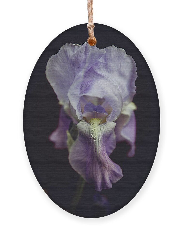 Iris Ornament featuring the photograph Iris by Denise Kopko