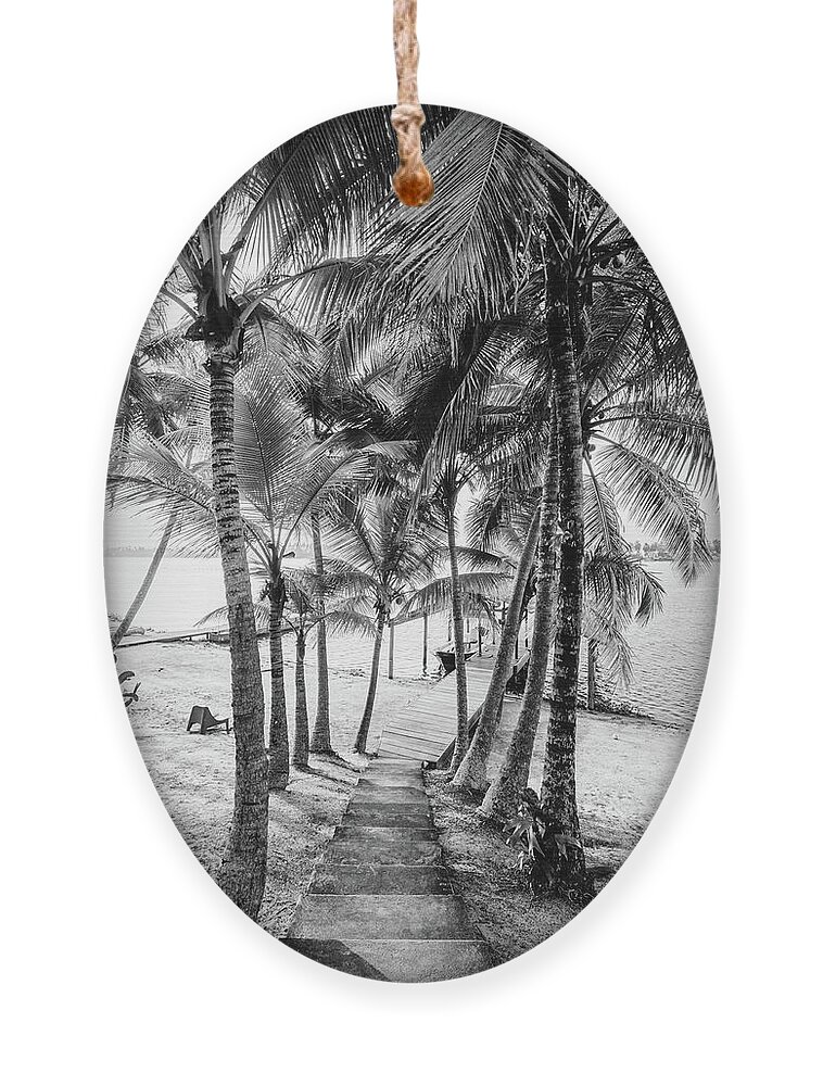 Black Ornament featuring the photograph Island Dock Under Palms Black and White by Debra and Dave Vanderlaan