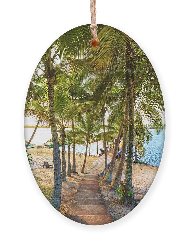 Dock Ornament featuring the photograph Island Dock Under Palms by Debra and Dave Vanderlaan