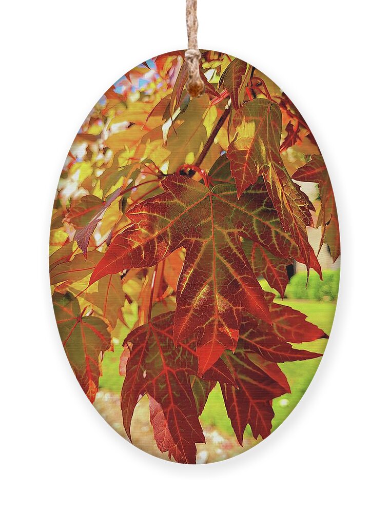 Leaves Ornament featuring the photograph It Is Time by Roberta Byram