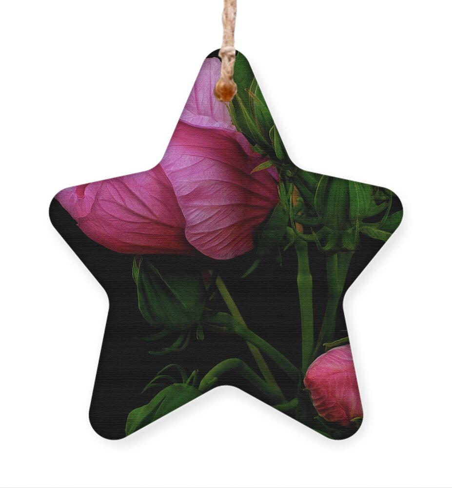 Hibiscus Ornament featuring the photograph Its A Matter Of Persective by Cynthia Dickinson