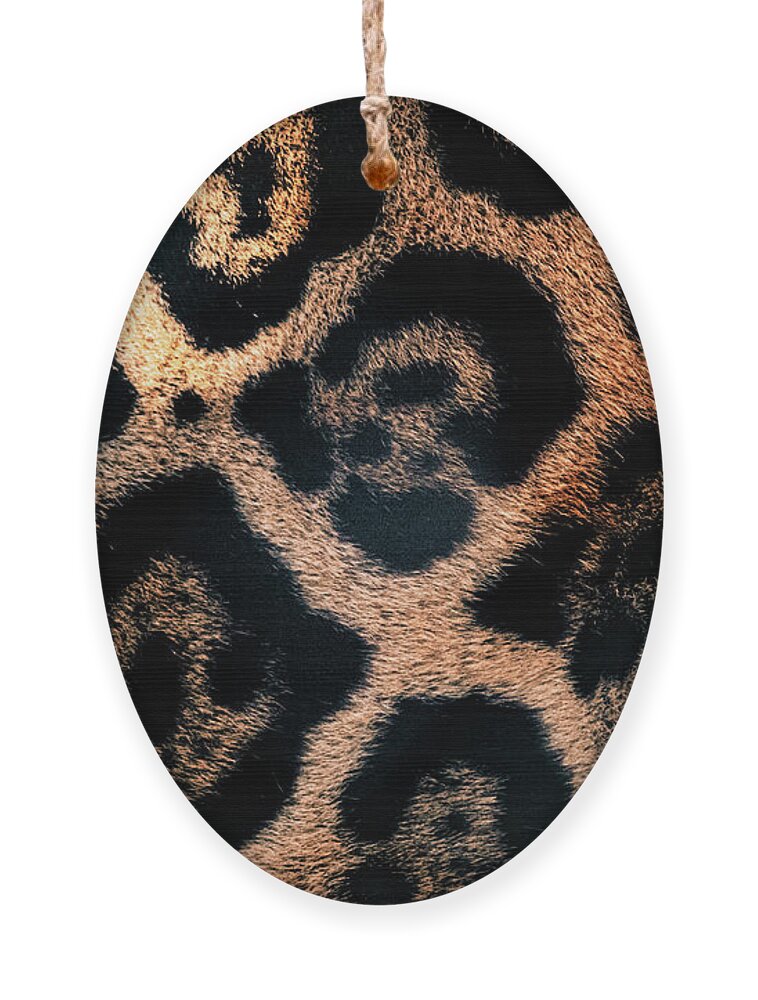 Spot Ornament featuring the photograph Jaguar Spots by Bonny Puckett