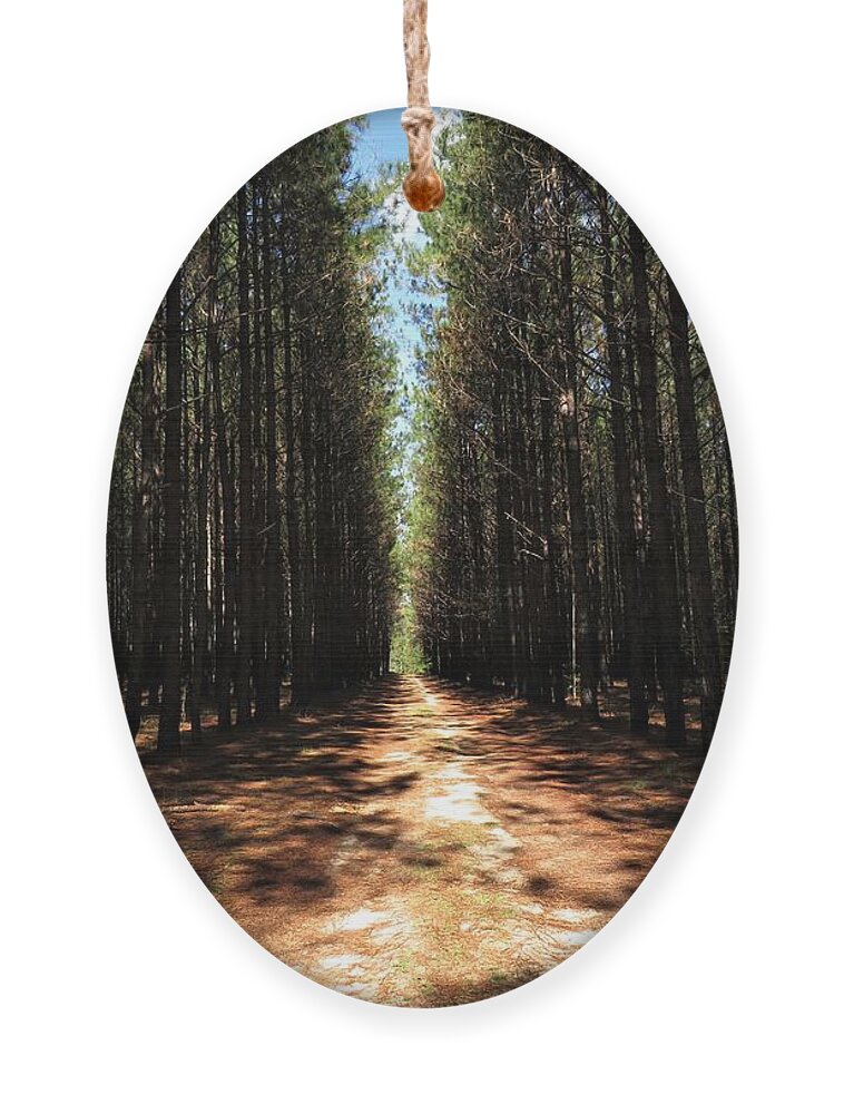 Forest Ornament featuring the photograph John's Cathedral by Ed Williams