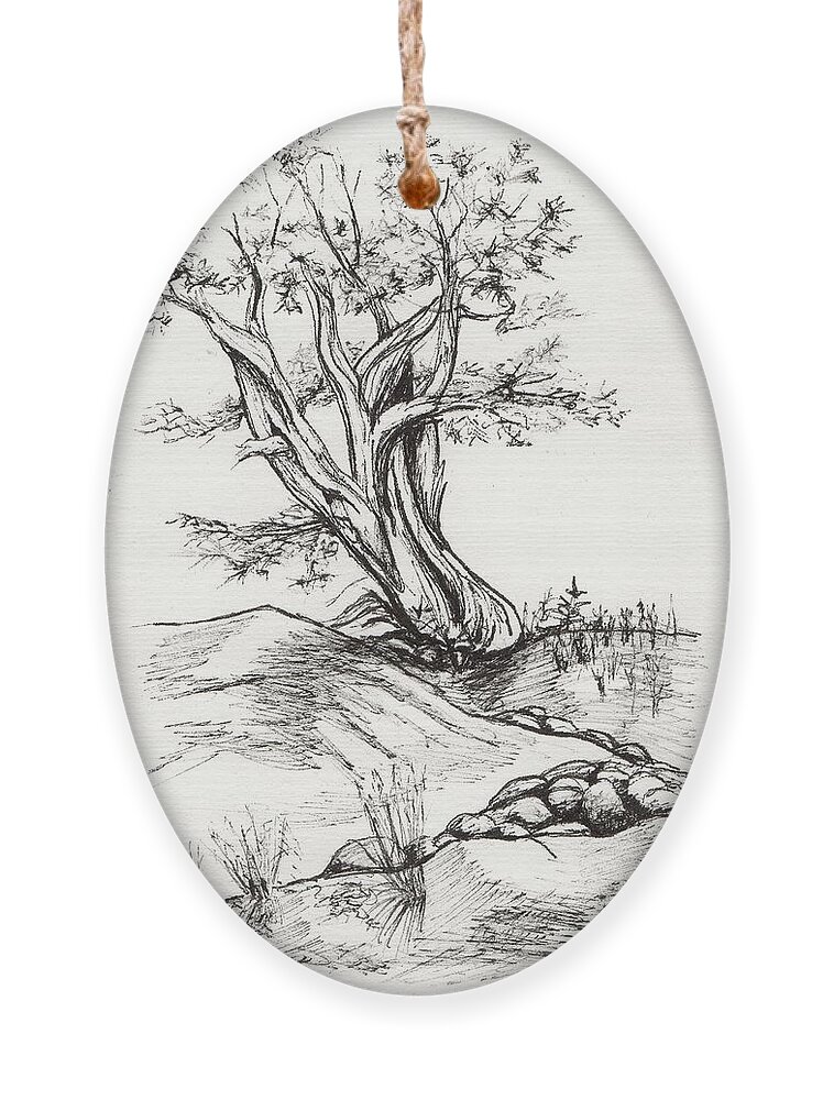 Black And White Ornament featuring the drawing Juniper and Dry Stream by Tammy Nara