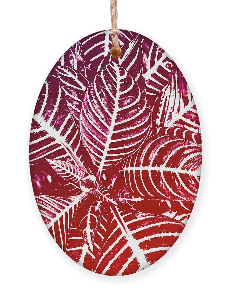 Leaves Ornament featuring the photograph Just artsy red leaves by Vanessa Thomas