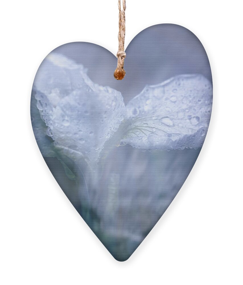 Iris Ornament featuring the photograph Just When I Thought I Would Never Think of You by Cynthia Dickinson