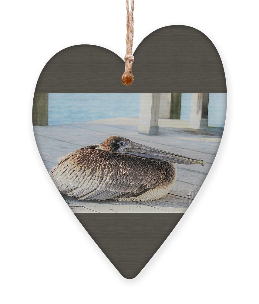 Pelican Ornament featuring the photograph Juvenile brown pelican by Joanne Carey