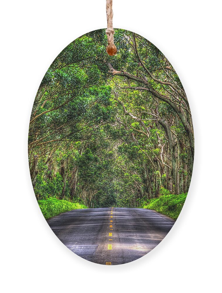 Rainbow Eucalyptus Tree Kauai Original Acrylic Painting OOAK