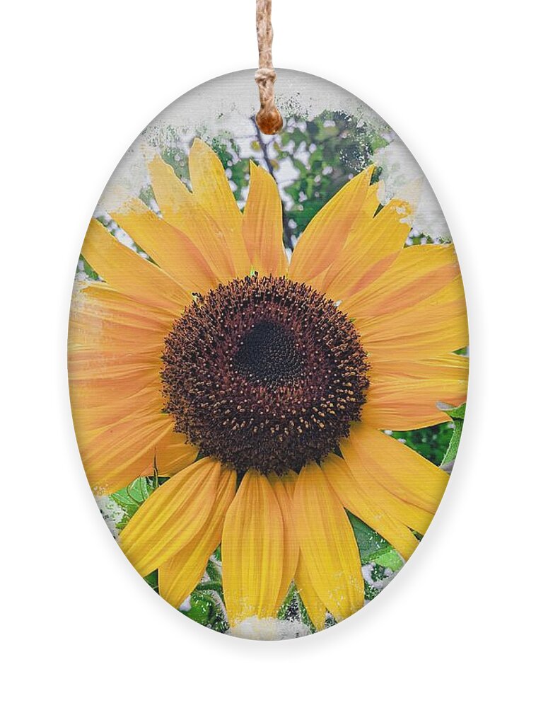 Sunflower Ornament featuring the photograph Keep Your Face To The Sunshine by Claudia Zahnd-Prezioso