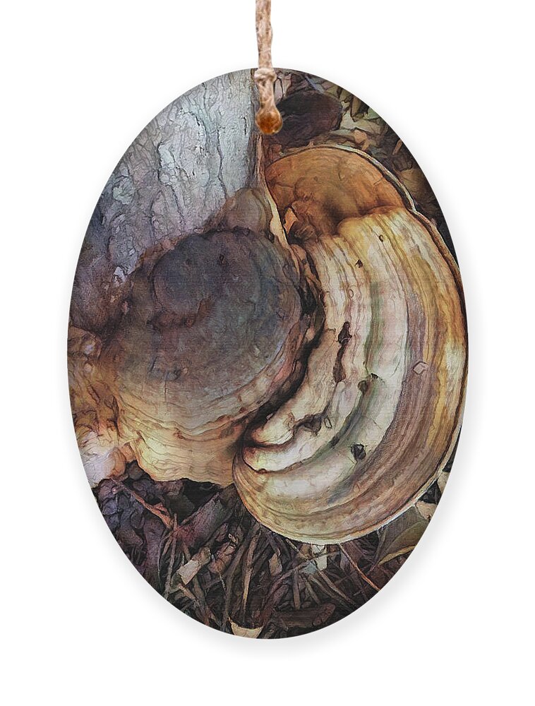Photo Ornament featuring the photograph Rings Of Fungi by Tim Nyberg