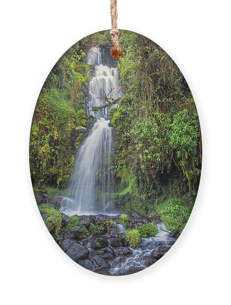 Andes Ornament featuring the photograph La Chorrera waterfall - Santa Rita by Henri Leduc