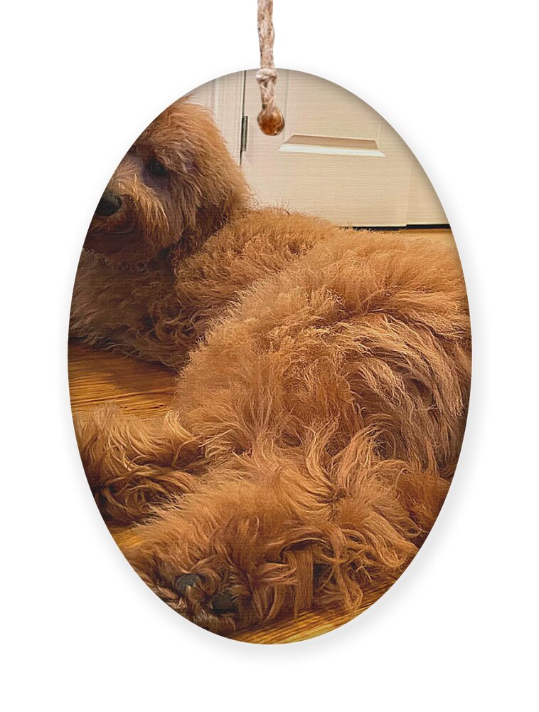 Goldendoodle Ornament featuring the photograph Ladybird Swimsuit Edition by Lee Darnell