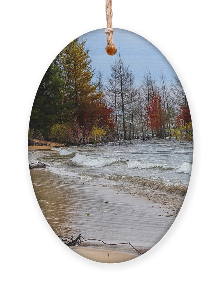 Fine Art Ornament featuring the photograph Lake Michigan Beach Alcove by Rosanna Life