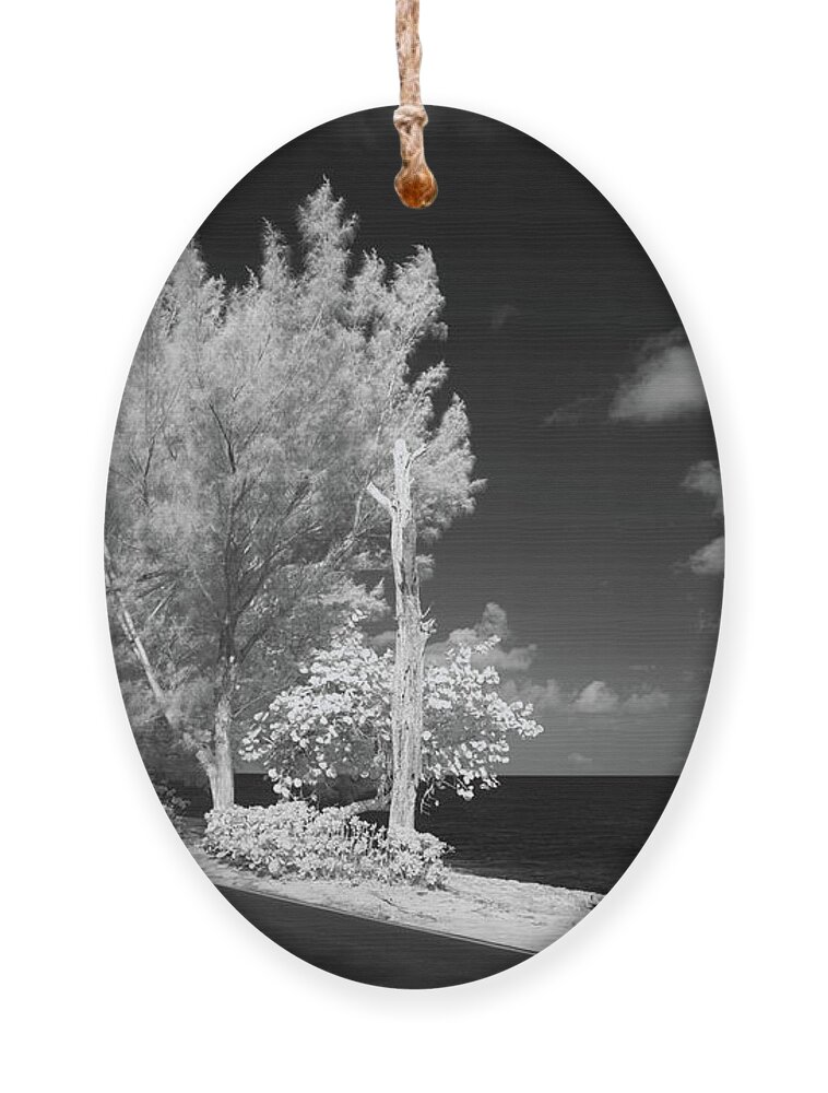 Infrared Photography Ornament featuring the photograph Land and Sea by Gian Smith