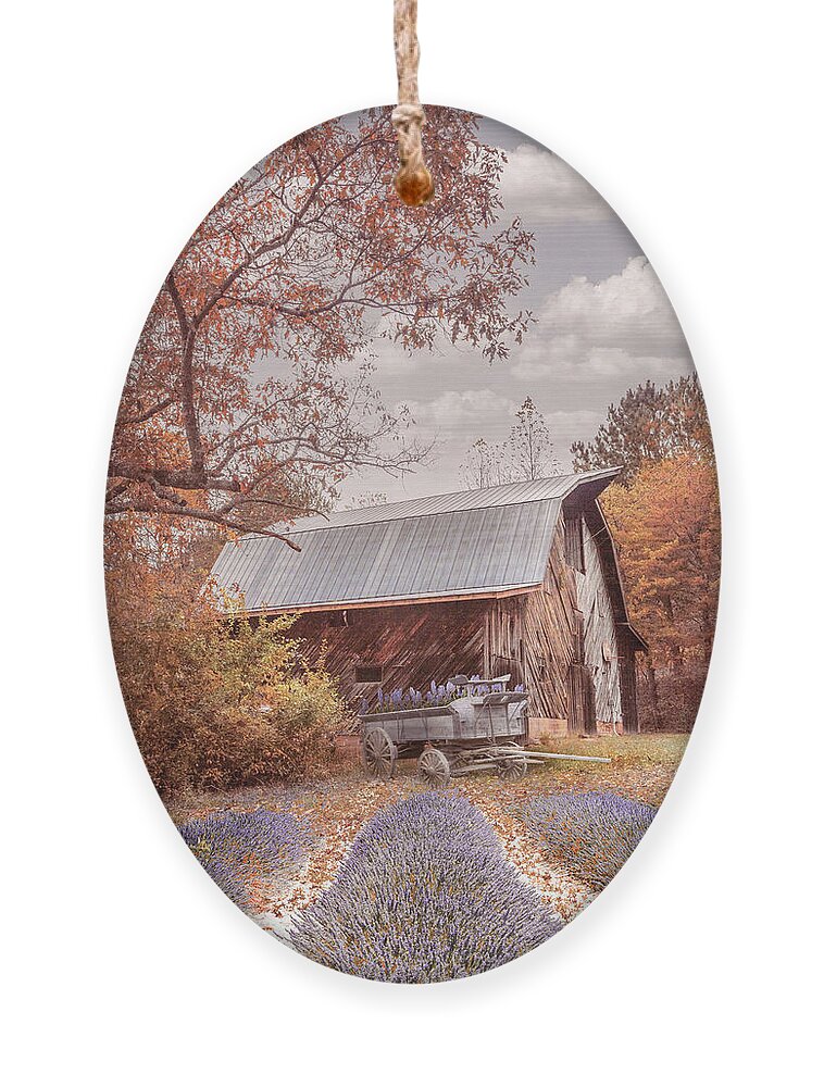 Barns Ornament featuring the photograph Last Flowers of Country Autumn by Debra and Dave Vanderlaan
